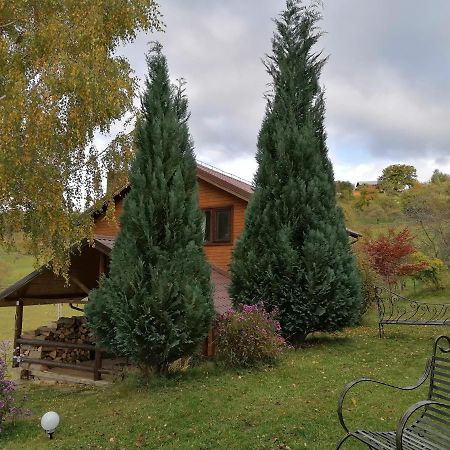 Casa Zara Villa Bran  Exterior photo